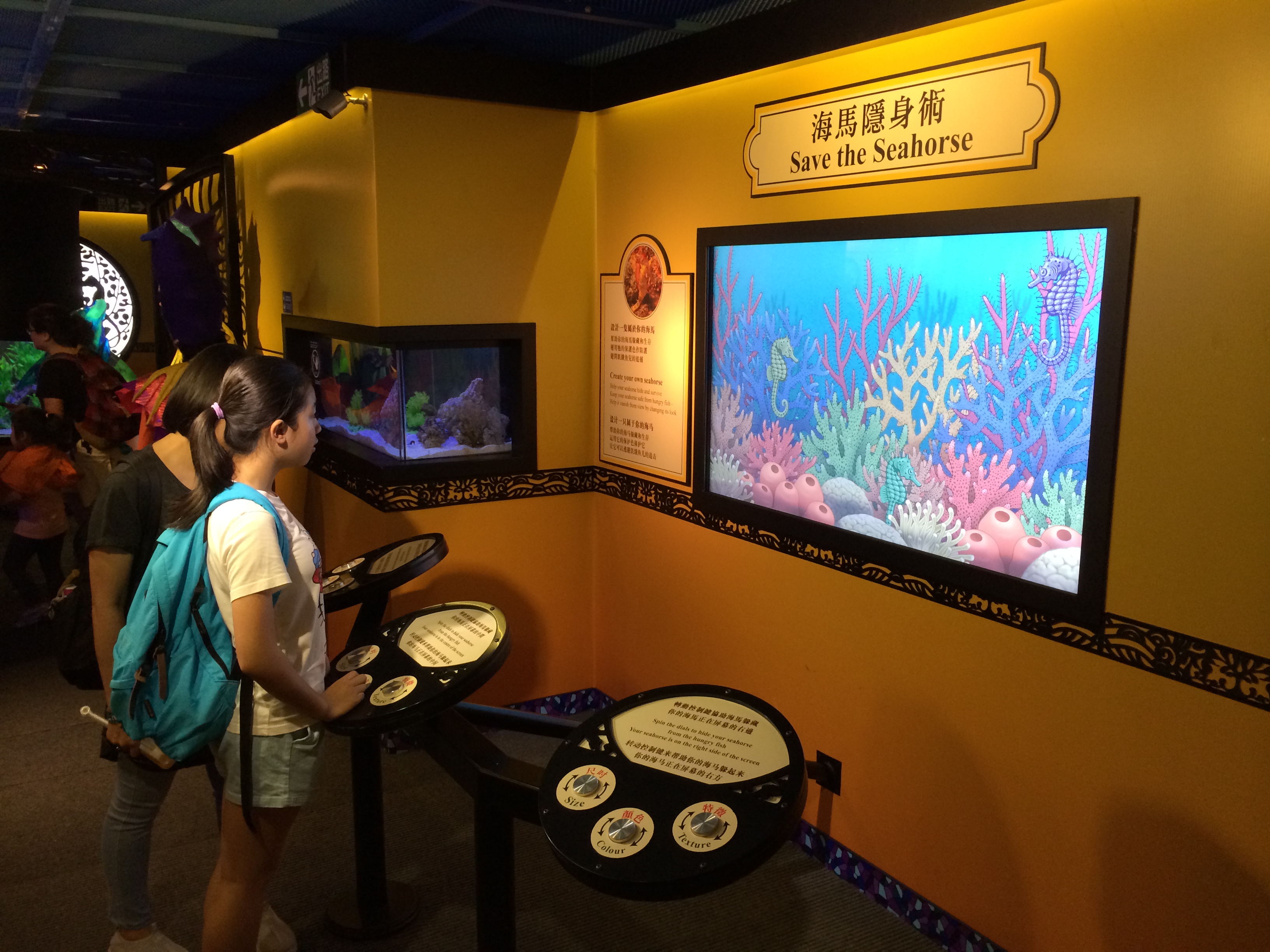 Ocean Park Animal Discovery 2014